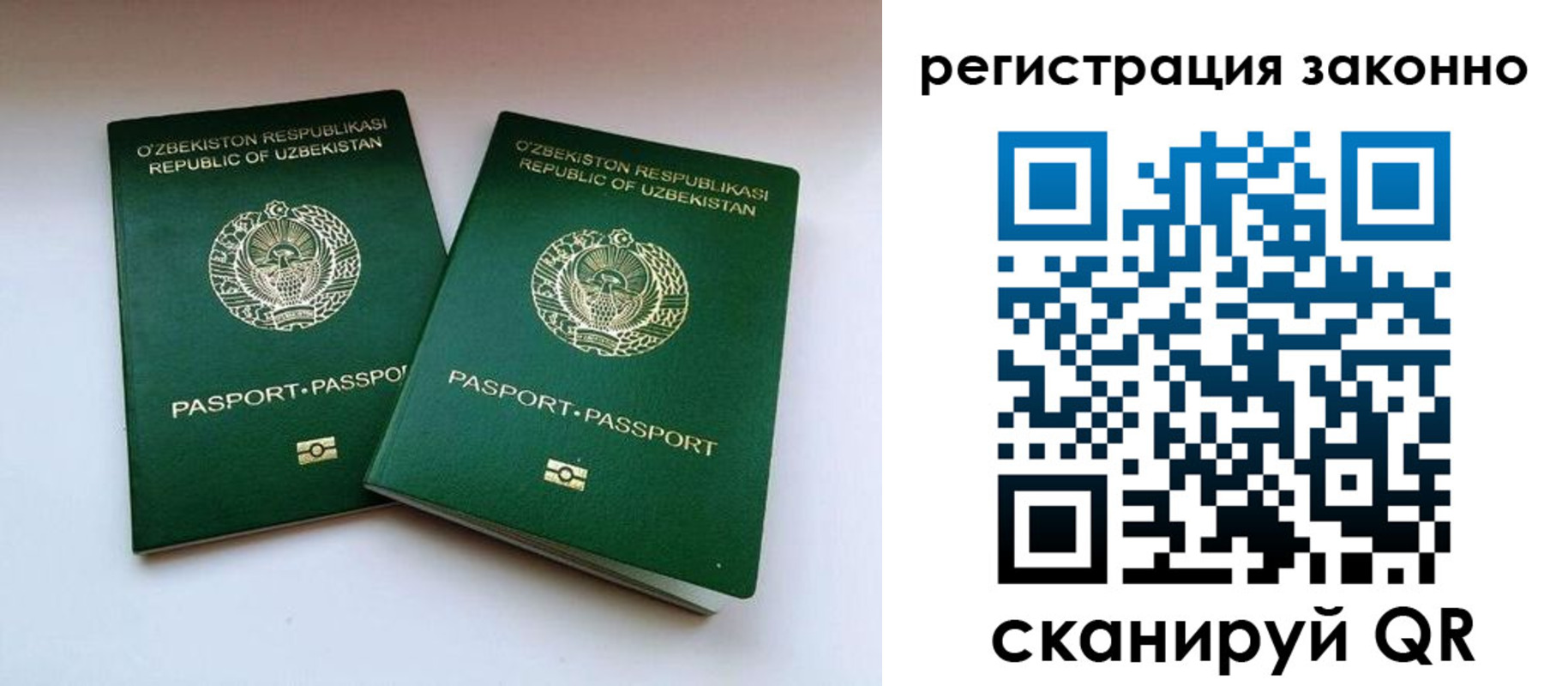 прописка гарантия в Чебоксарах